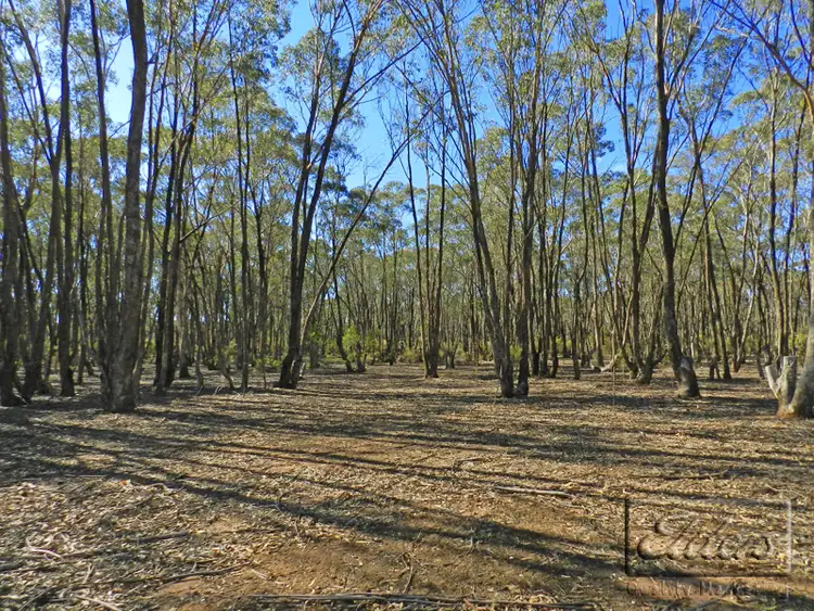 Sixth view of Homely land listing, CA 7 Gees Road, Woodvale VIC 3556