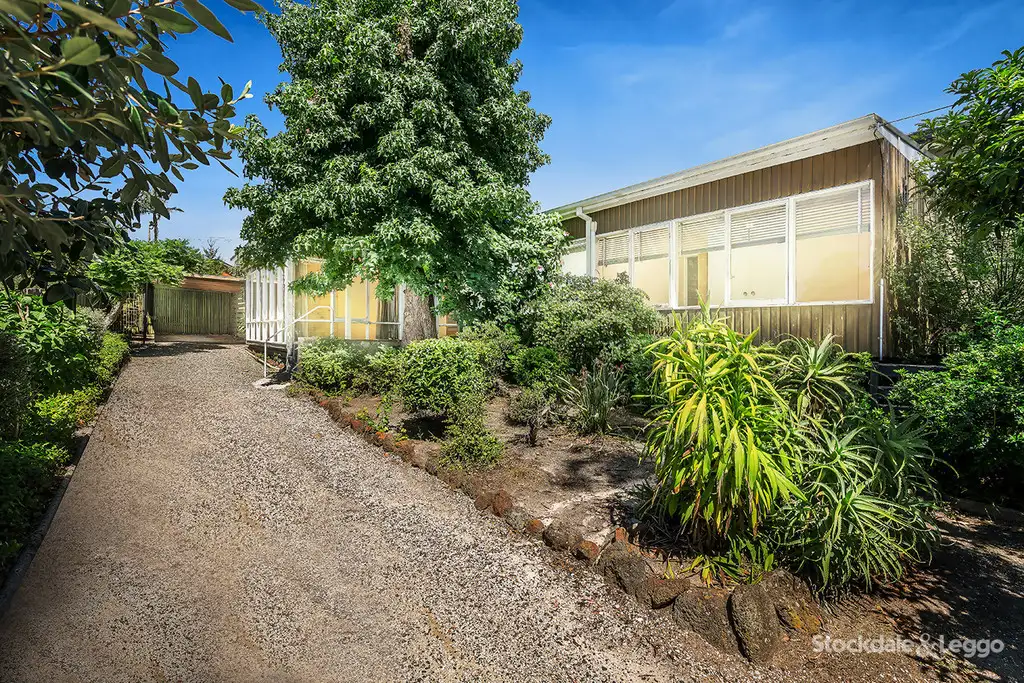 Main view of Homely house listing, 56 Alice Street, Mount Waverley VIC 3149