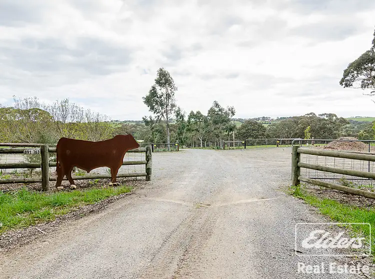 Fourth view of Homely rural property listing, 499 Mosquito Hill Road, Mount Compass SA 5210