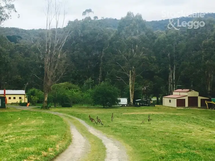 79 York Road, Mount Evelyn VIC 3796