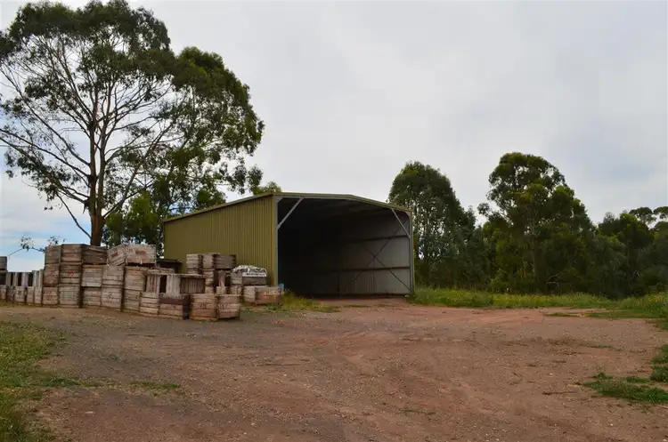 Seventh view of Homely rural property listing, 00 'Muttaroo' Mines Road, Batlow NSW 2730