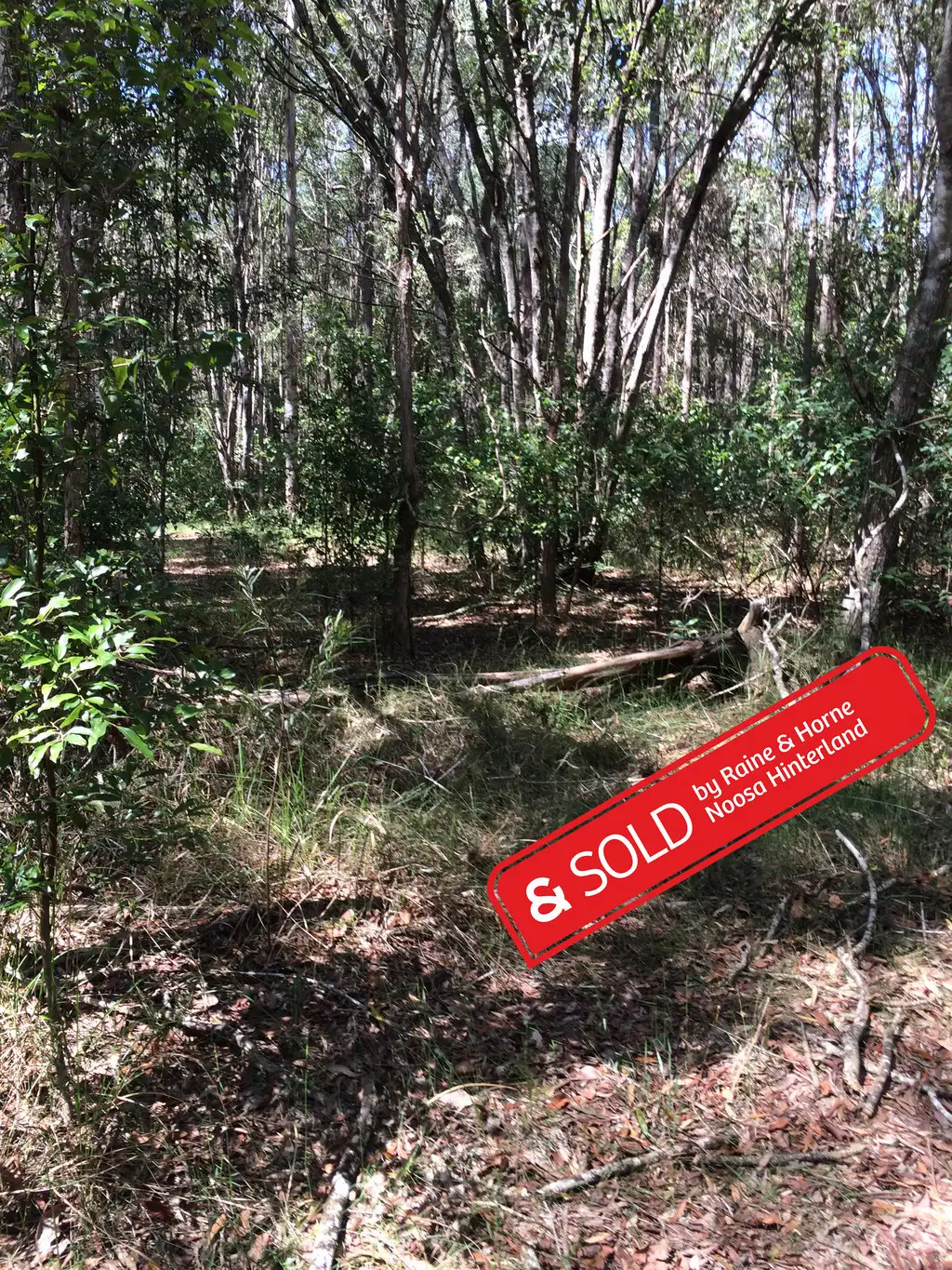 Main view of Homely land listing, 889 Traveston Cooran Road, Cooran QLD 4569