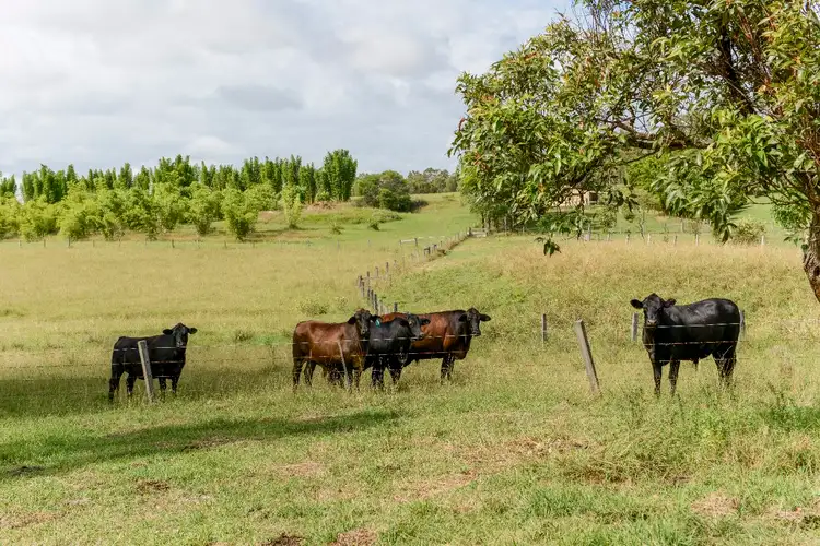 Sixth view of Homely rural property listing, 400 Centenary Drive, Clarenza NSW 2460