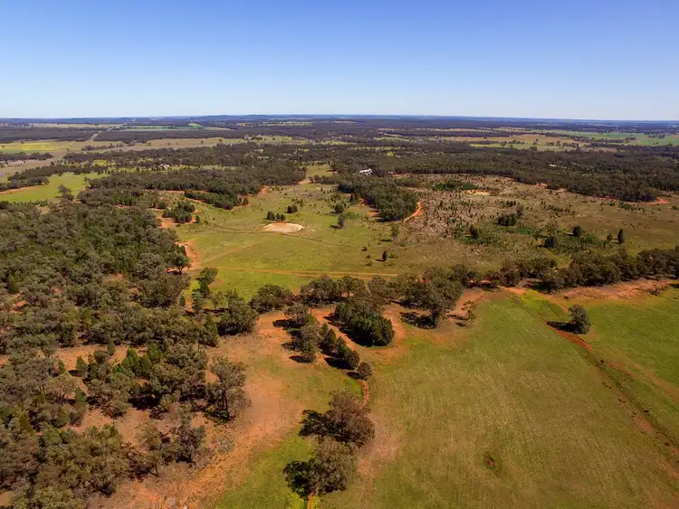Seventh view of Homely rural property listing, "Lilyvale" Buddens Road, Dubbo NSW 2830