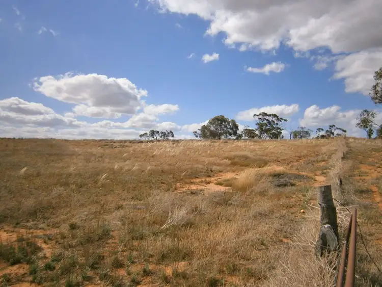 Seventh view of Homely rural property listing, Lot 7 Sturt Highway, Waikerie SA 5330