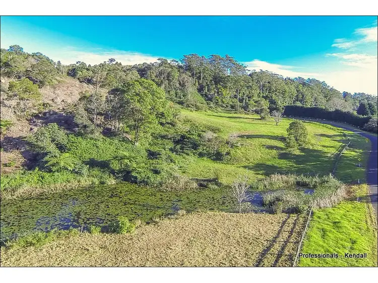 Fourth view of Homely land listing, 45 The Shelf Road, Tamborine Mountain QLD 4272