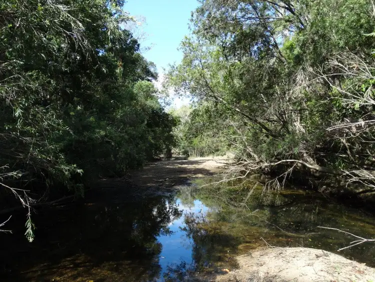 Main view of Homely rural property listing, Lot 101 Mollenhagens Road, Rosedale QLD 4674