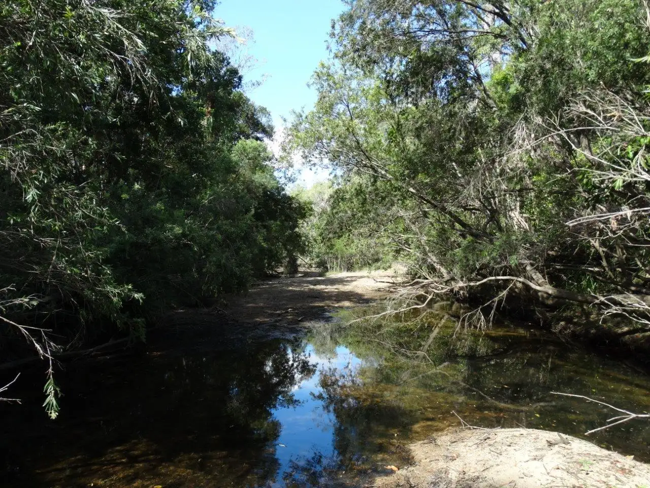 Main view of Homely rural property listing, Lot 101 Mollenhagens Road, Rosedale QLD 4674