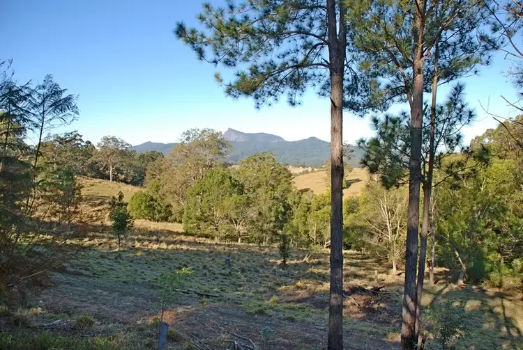 Fifth view of Homely rural property listing, 427 Pinnacle Road, Pumpenbil NSW 2484