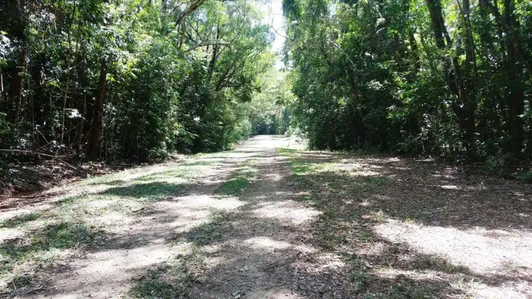 Fifth view of Homely land listing, 515 Silver Ash Road, Daintree QLD 4873