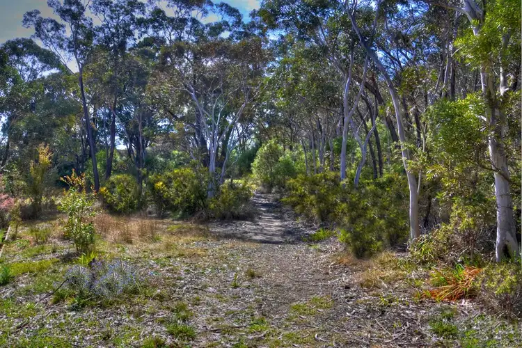 67 Victoria Street, Mount Victoria NSW 2786