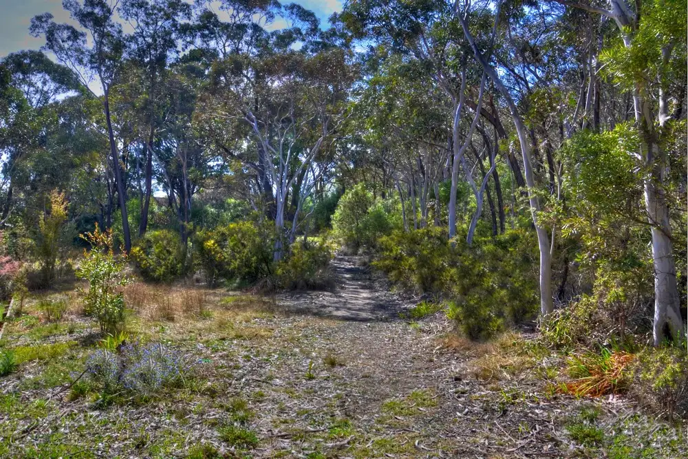 Main view of Homely land listing, 67 Victoria Street, Mount Victoria NSW 2786