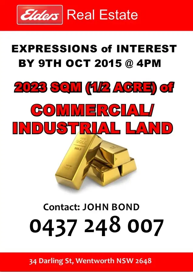 Main view of Homely land listing, 110 Adams Street, Wentworth NSW 2648