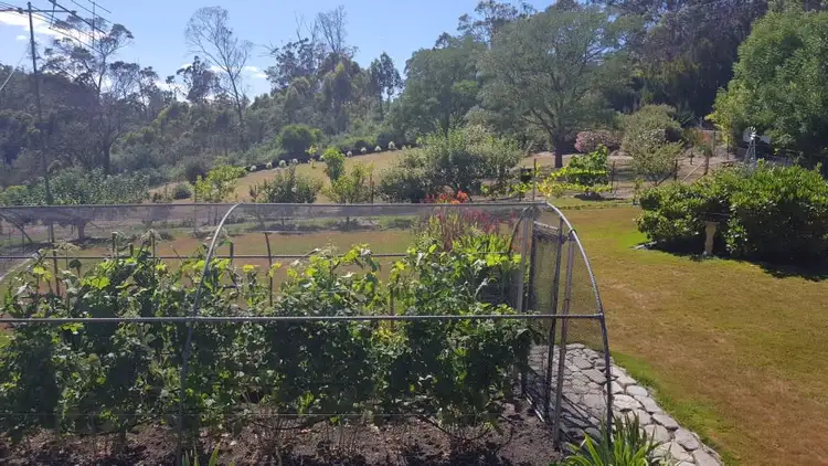 Fifth view of Homely rural property listing, 462 Plenty Valley Road, Glenfern TAS 7140