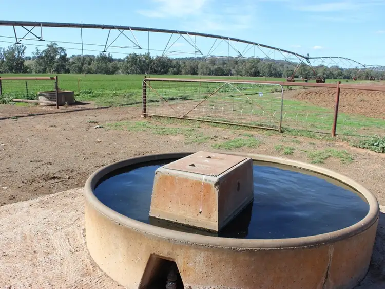 Seventh view of Homely rural property listing, 648 River Road, Geurie NSW 2818