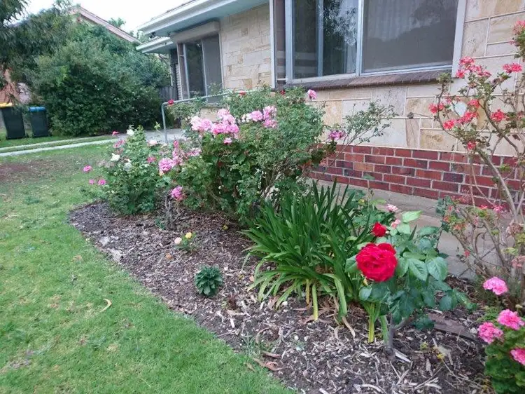 Third view of Homely house listing, 10 Carinya Crescent, Rostrevor SA 5073