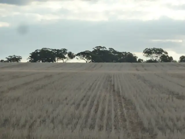 Main view of Homely rural property listing, 'Koolena' 1642 South Dubelling Road, Quairading WA 6383