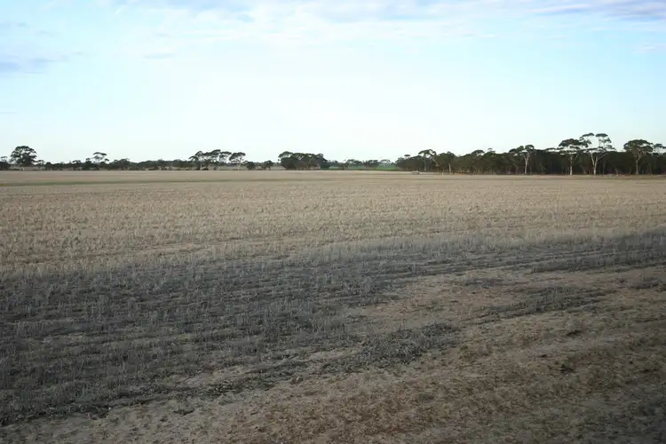 Fifth view of Homely rural property listing, 2262 Hyden Kondinin Road, Kondinin WA 6367