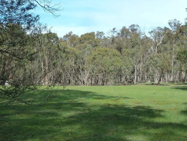 Seventh view of Homely land listing, 253 Baldwins Road, Trawalla VIC 3373