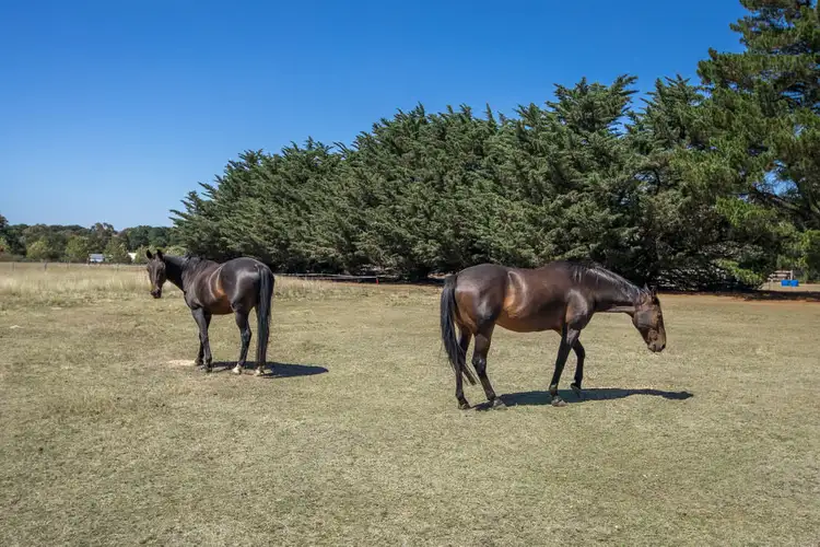 Sixth view of Homely land listing, 60 Panorama Drive, Gisborne VIC 3437