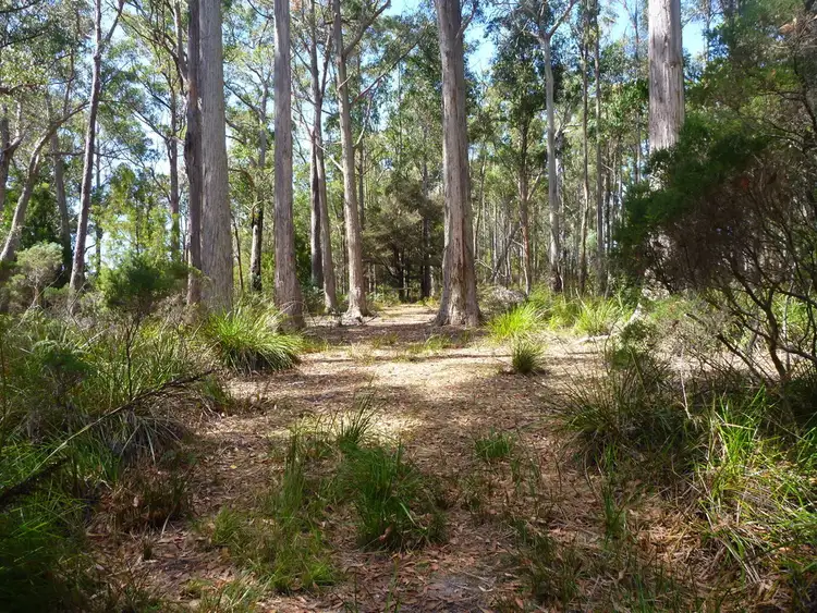 Sixth view of Homely land listing, 236 Long Plains Road, Exeter TAS 7275