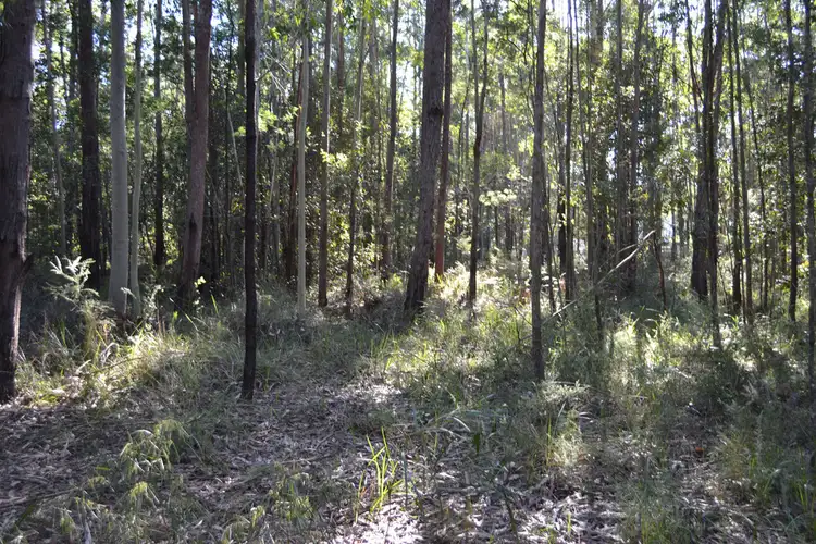 Fifth view of Homely land listing, Lots 52 & 53 Jerberra Road (Jerberra Estate), Tomerong NSW 2540