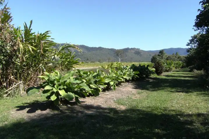 Third view of Homely rural property listing, 5236 Abergowrie Road, Abergowrie QLD 4850