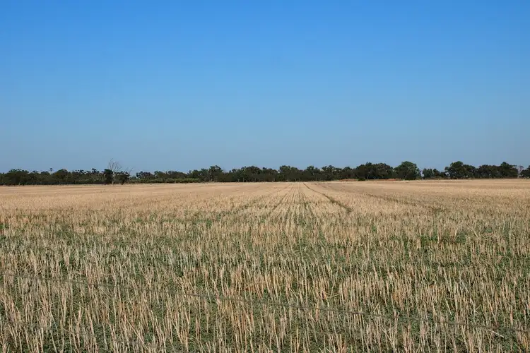 Fifth view of Homely land listing, Lot 102 Gordon Road, Korunye SA 5502
