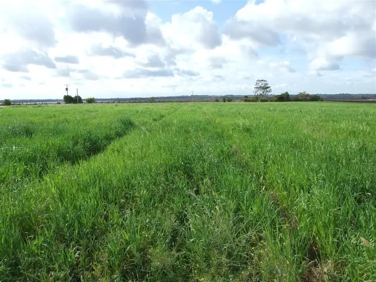 Second view of Homely land listing, Section 1564 Lower Winkie Rd via, Berri SA 5343