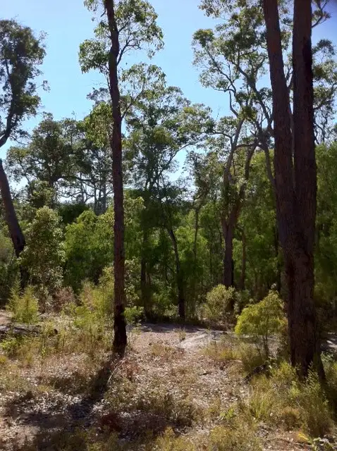 Sixth view of Homely land listing, 14 (Lot 78) Holly Place, Cowaramup WA 6284