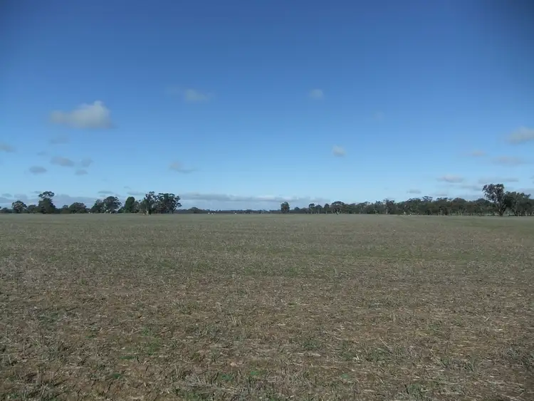 Fifth view of Homely rural property listing, 70 Cains Road, Natte Yallock VIC 3465