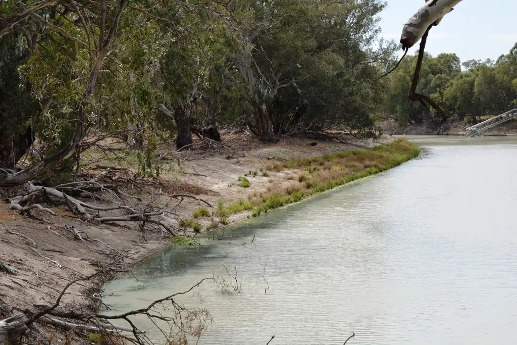 Main view of Homely land listing, Lot 3 Low Darling Road, Wentworth NSW 2648