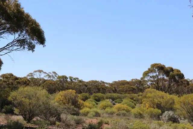 Lot 10 Winter Road, Bower SA 5374