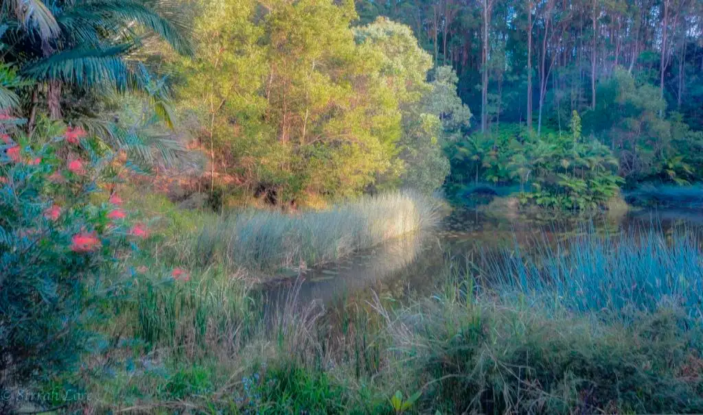 Main view of Homely rural property listing, 15 Palm Road, Tumbulgum NSW 2490