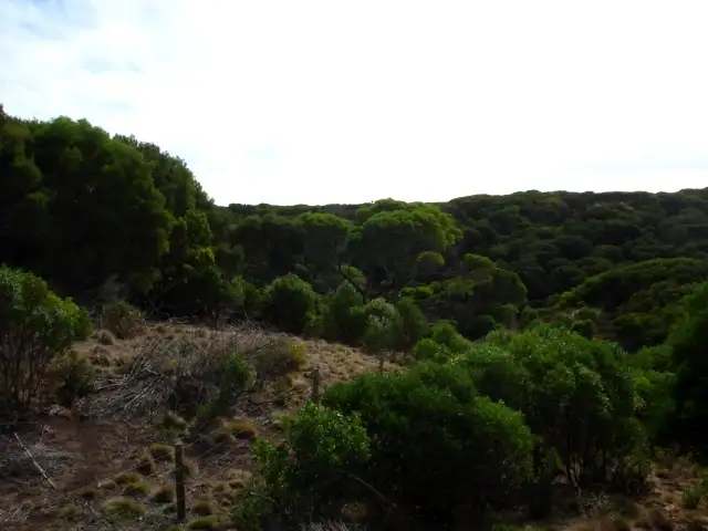 Fifth view of Homely land listing, Lot 1 North Road, Bungaree, King Island TAS 7256
