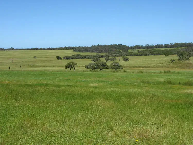 Second view of Homely rural property listing, 420 South Coast Highway, Denmark WA 6333