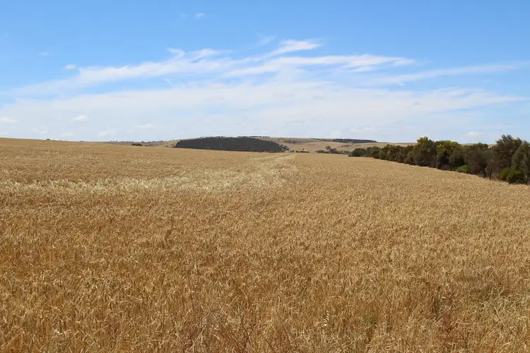 Main view of Homely rural property listing, 222 - 238 Morris Road, Tumby Bay SA 5605