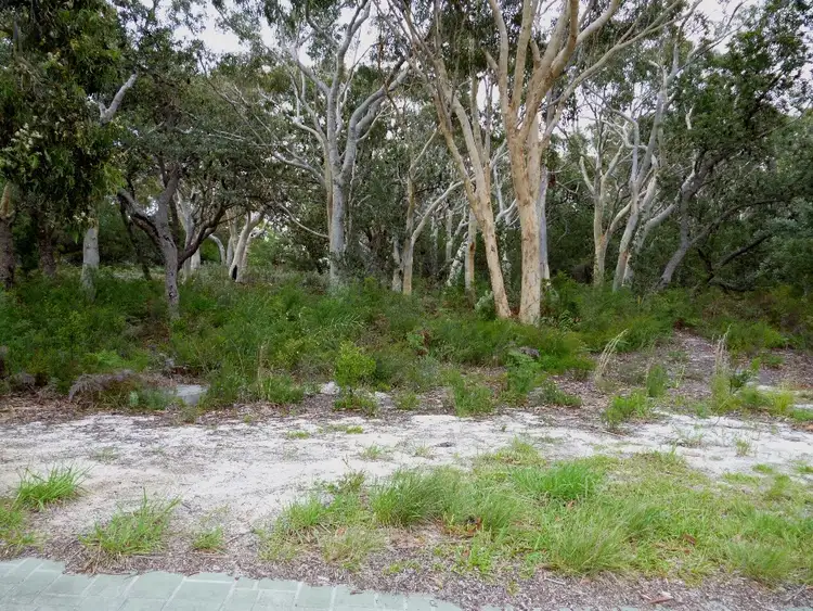 Second view of Homely land listing, 24 Hazelwood Rise, Callala Beach NSW 2540