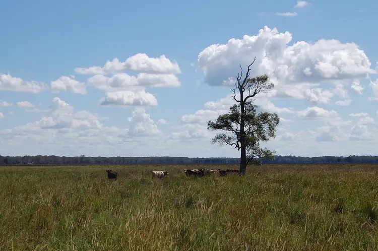 Fourth view of Homely rural property listing, Coraki - Ellangowan Road, Coraki NSW 2471