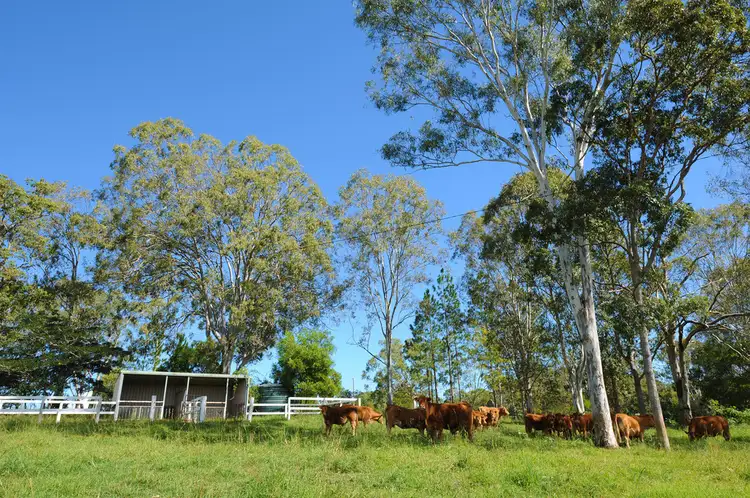 Sixth view of Homely rural property listing, 1 McCabe Road, Woodford QLD 4514