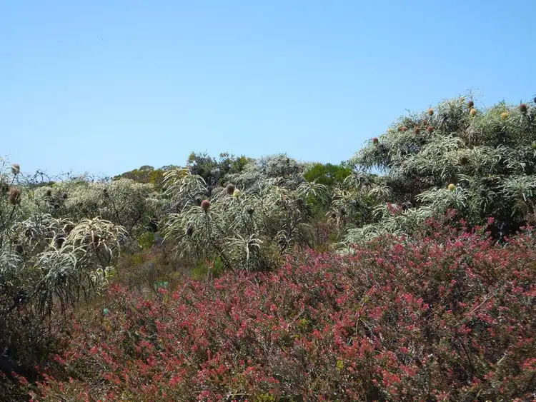 Second view of Homely land listing, 7 Seaview Way, Hopetoun WA 6348