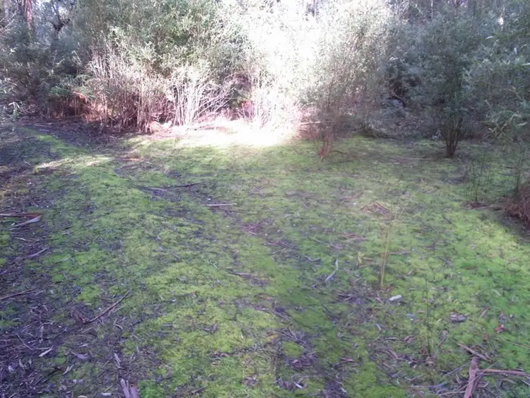 Fifth view of Homely rural property listing, Lot 1 Tasman Hwy, Bicheno TAS 7215