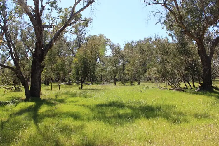 Fifth view of Homely rural property listing, 142 Leeder Road, Mokine via, Clackline WA 6564