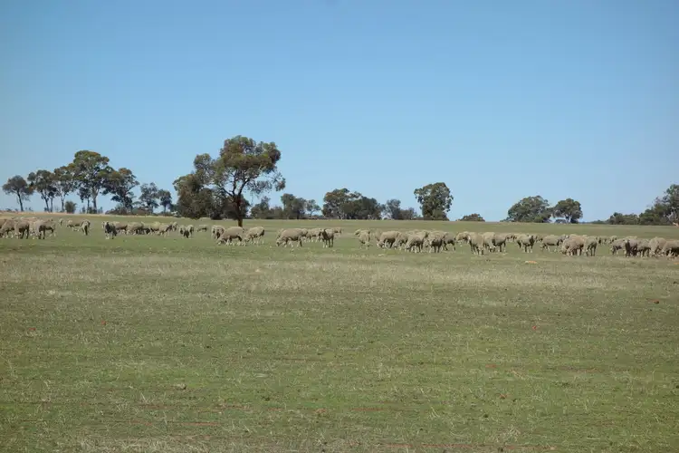 Fifth view of Homely rural property listing, Lot 4 Noble Road, Arthur River WA 6315