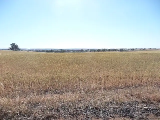 Second view of Homely rural property listing, Lot 801 Parker Road, York WA 6302