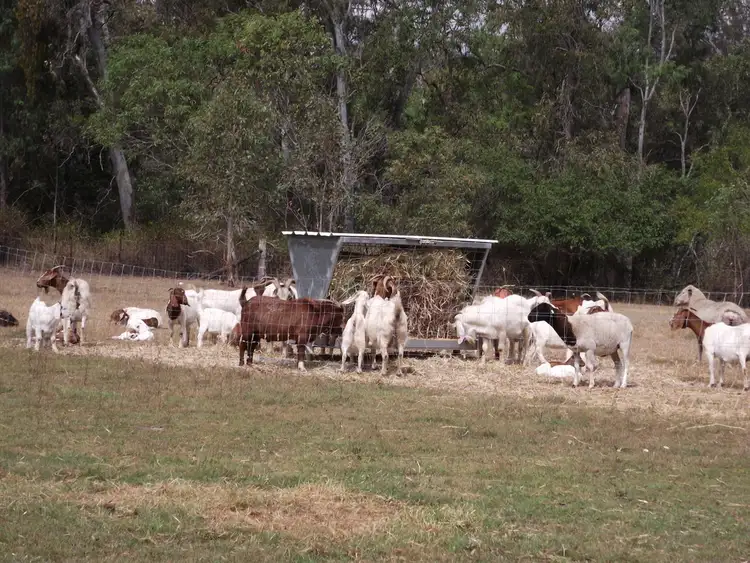 Sixth view of Homely house listing, 2 Kelly Road, Spring Creek QLD 4343