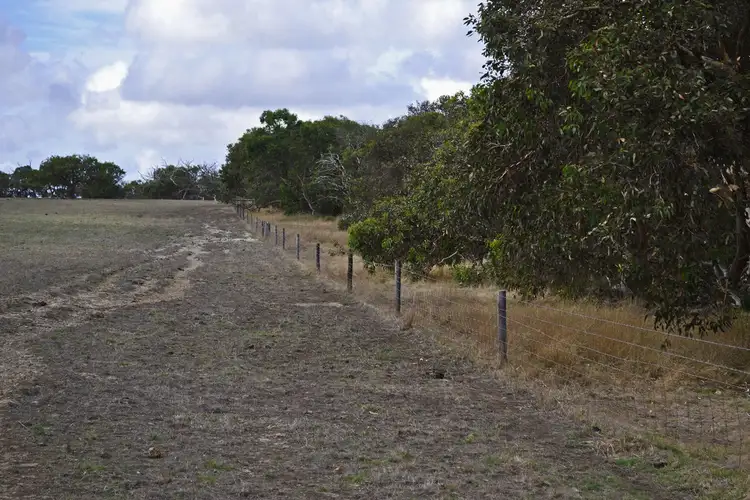 Fifth view of Homely rural property listing, 844 Harriet Road, Newland SA 5223