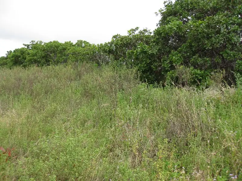 Main view of Homely rural property listing, Address available on request