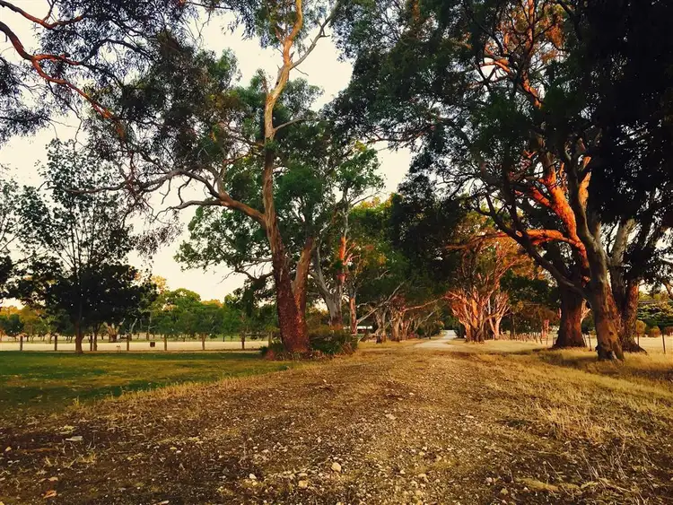Sixth view of Homely house listing, Lot 46 Vanstones Road, Naracoorte SA 5271