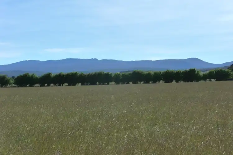 Second view of Homely rural property listing, 190 Egerton Road, White Hills TAS 7258